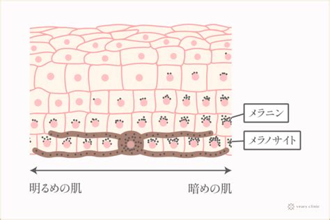 乳首の黒ずみの原因とは？ピンク色にする治療や対策。